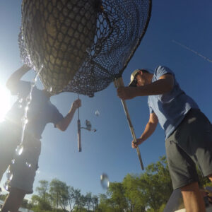 Netting Fish