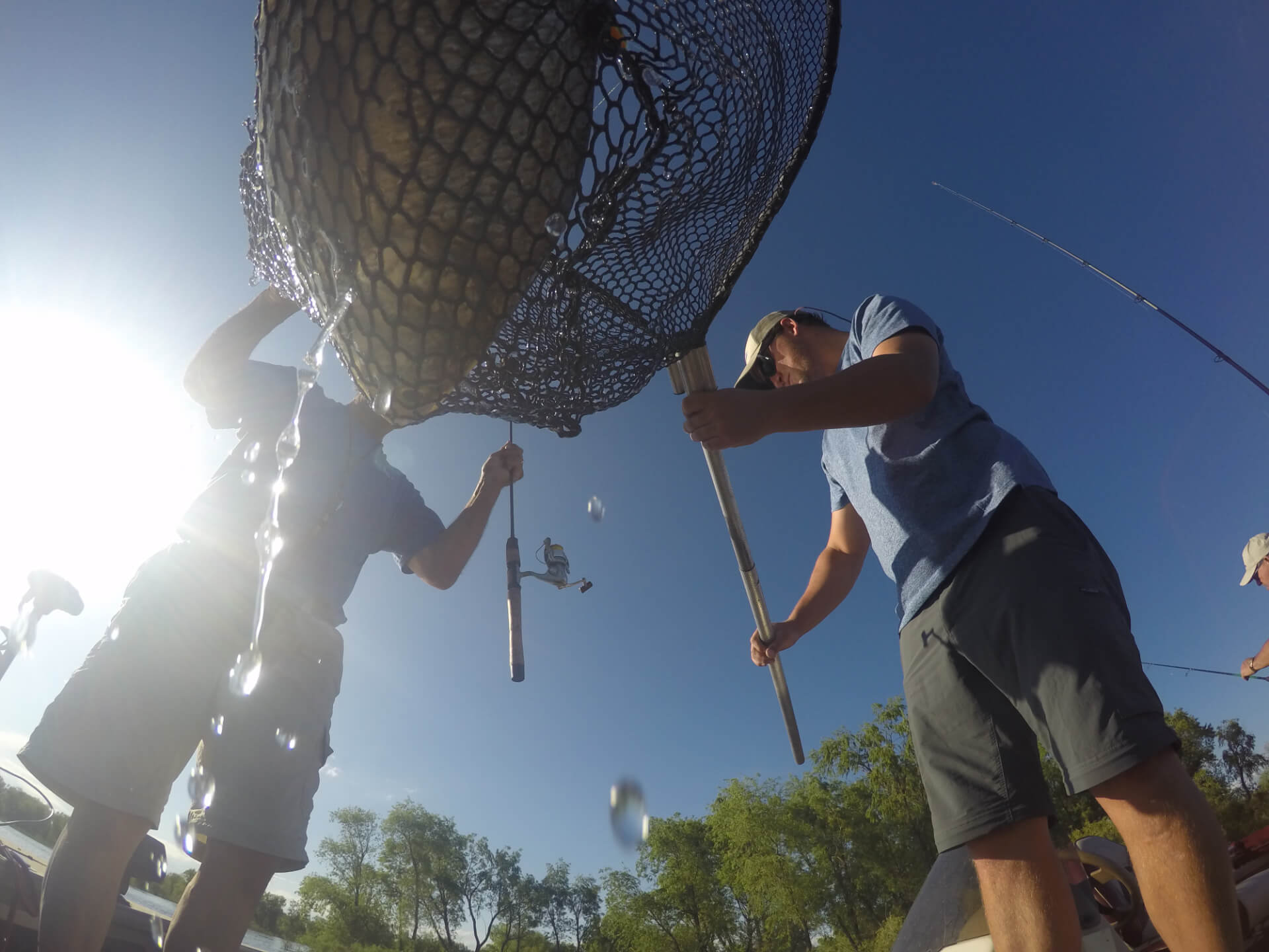 Netting Fish Netting Fish